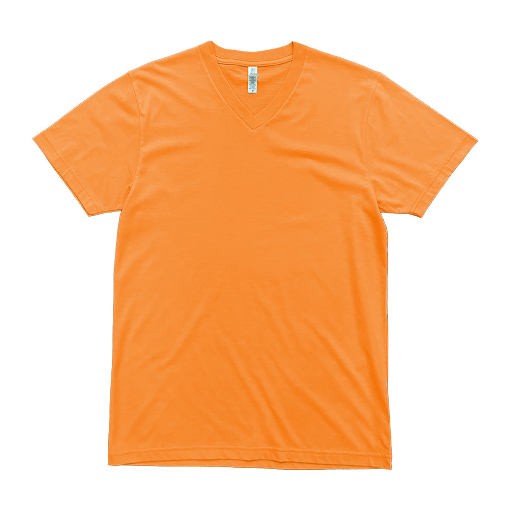 2587 Premium V Neck Tee (Set 3)